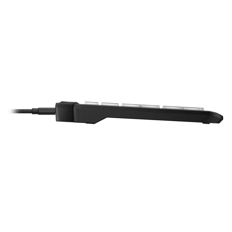 HP 405 Teclado cableado retroiluminado multidispositivo, Tamaño completo (100%), Cableado, USB, Membrana, Negro