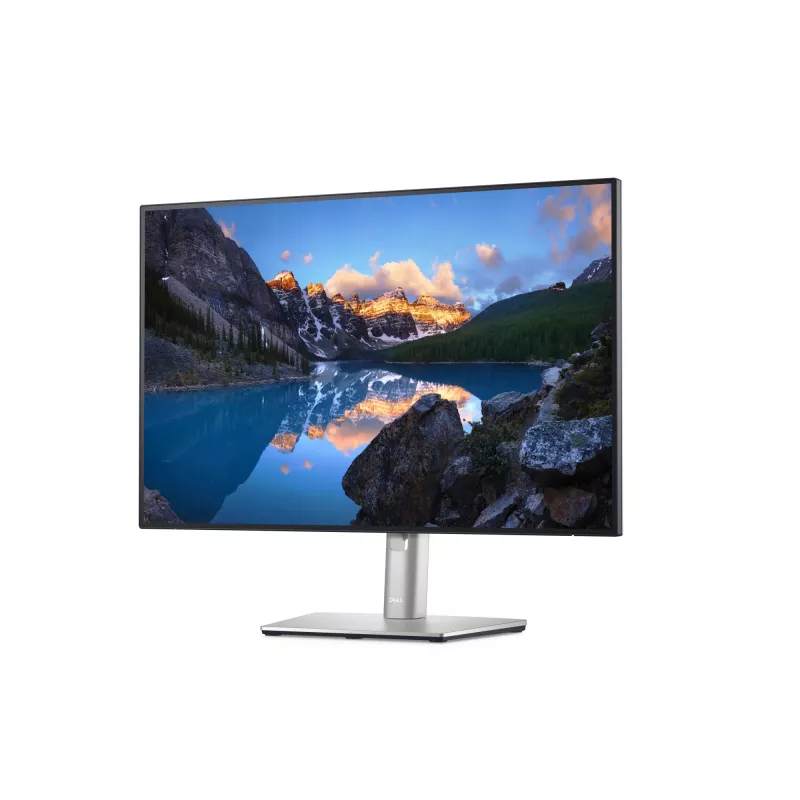 DELL UltraSharp U2421E Monitor de ordenador 61,2 cm (24,1 inch) 1920 x 1200 píxeles WUXGA LCD Plata