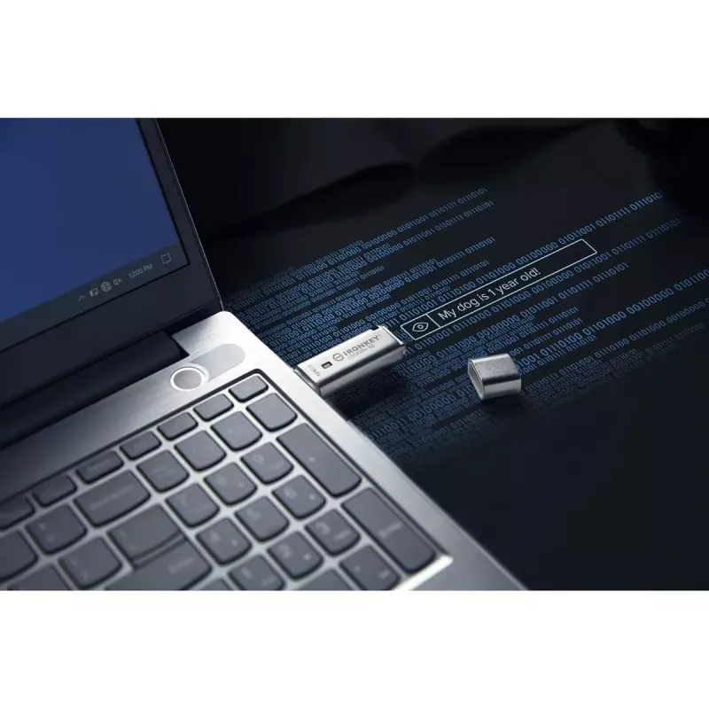 Kingston Technology IronKey 128GB IKLP50 AES USB con cifrado de 256 bits