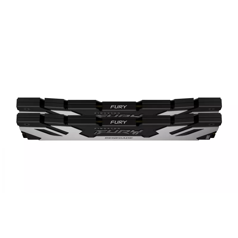 Kingston Technology FURY 32GB 6400MT/s DDR5 CL32 DIMM (Kit de 2) Renegade Silver
