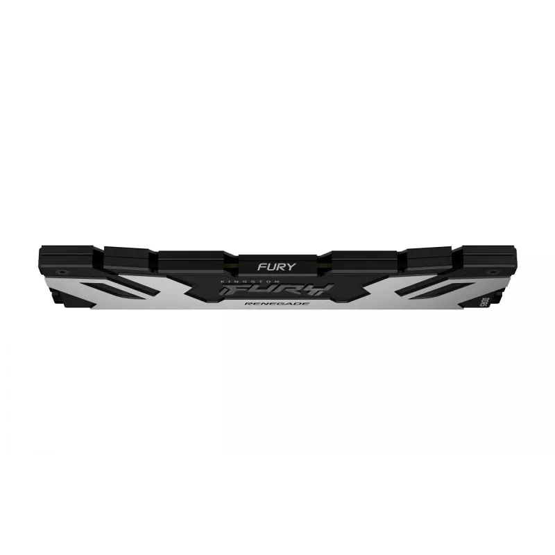 Kingston Technology FURY 48 GB 6400 MT/s DDR5 CL32 DIMM Renegade Plata XMP