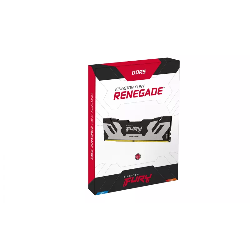 Kingston Technology FURY 48 GB 6400 MT/s DDR5 CL32 DIMM Renegade Plata XMP