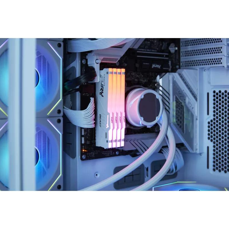 Kingston Technology FURY Beast 32GB 6000MT/s DDR5 CL30 DIMM Blanco RGB EXPO