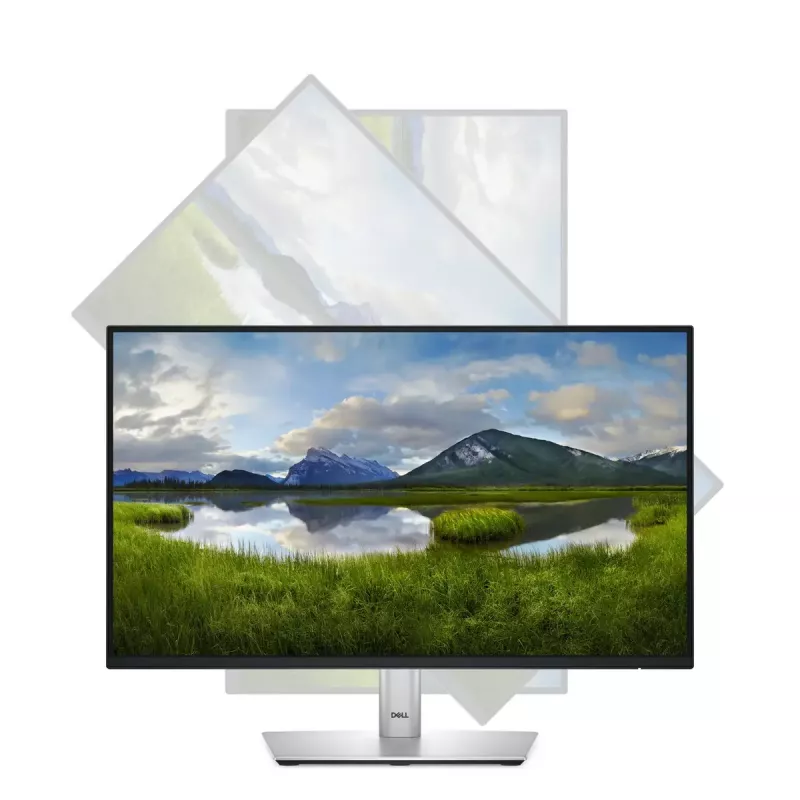 Monitor DELL P Series P2225H 54,6 cm (21,5