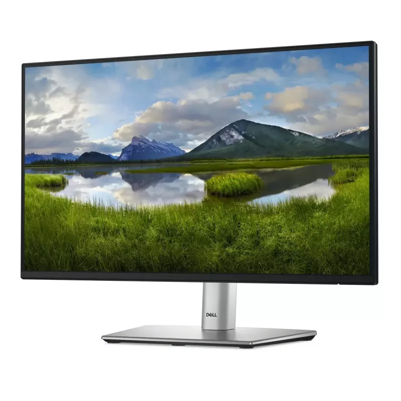 Monitor DELL P Series P2225H 54,6 cm (21,5