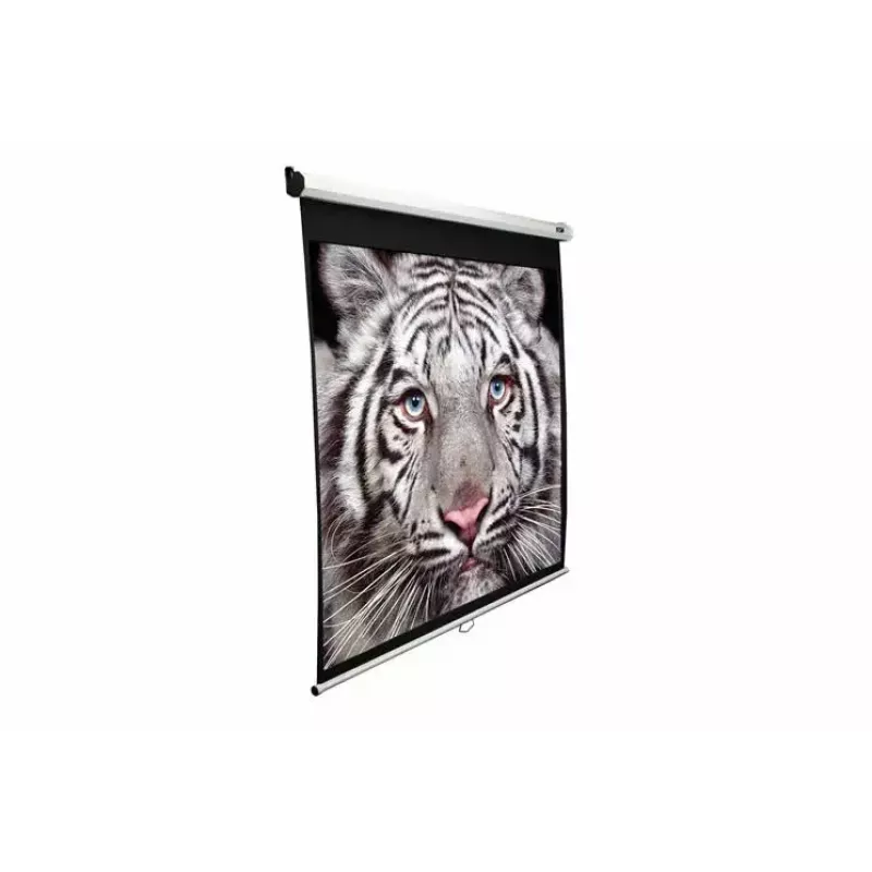 Pantalla de proyección Elite Screens M99UWS1