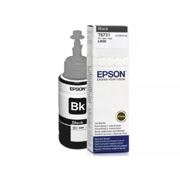 Botella de tinta negra Epson T6731 70 ml