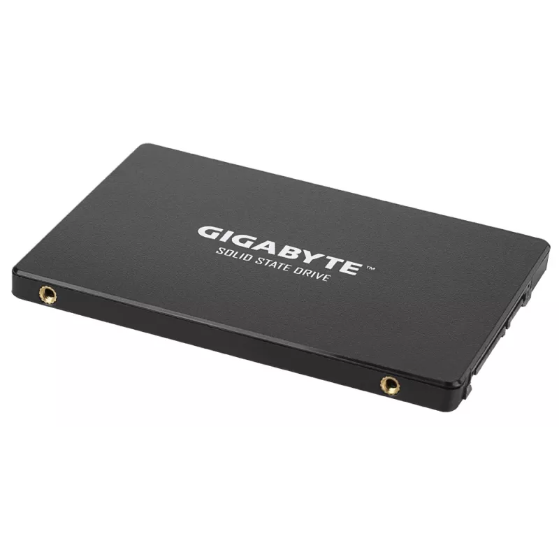 GIGABYTE GP-GSTFS31100TNTD unidad de estado sólido interna 1 TB 2,5