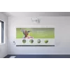 Proyector de ultra corta distancia Epson EB-1485Fi 5000 lúmenes ANSI 3LCD 1080p (1920x1080) blanco
