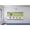 Proyector de ultra corta distancia Epson EB-1485Fi 5000 lúmenes ANSI 3LCD 1080p (1920x1080) blanco