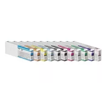 Cartucho de tinta Epson UltraChrome Pro 12 T44J940 – Original gris claro