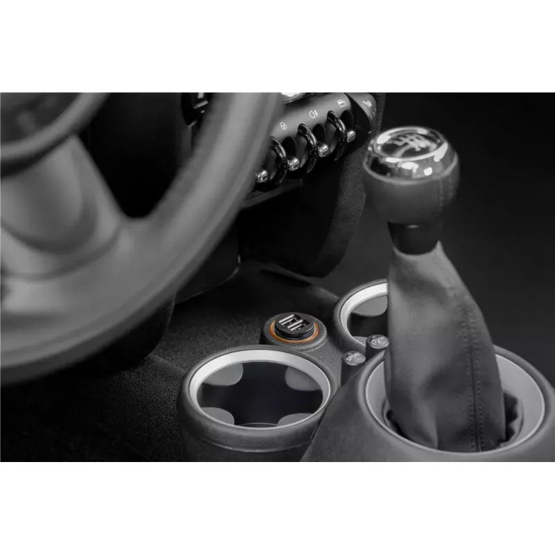 Goobay 58912 cargador de coche con doble USB, 2 x USB-A, 3,1 A, negro