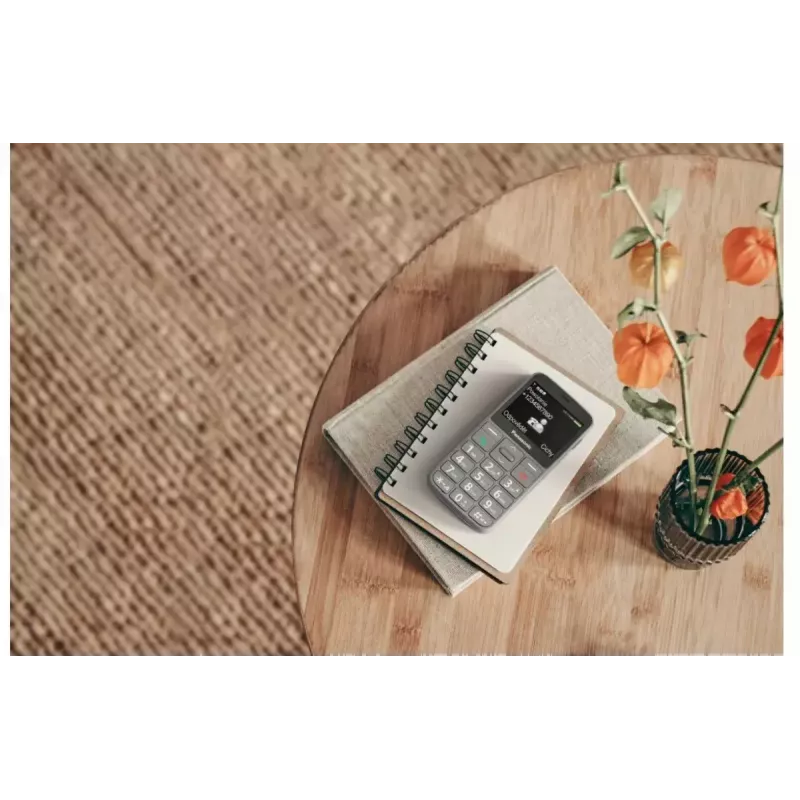 Teléfono móvil Panasonic KX-TU160 2,4