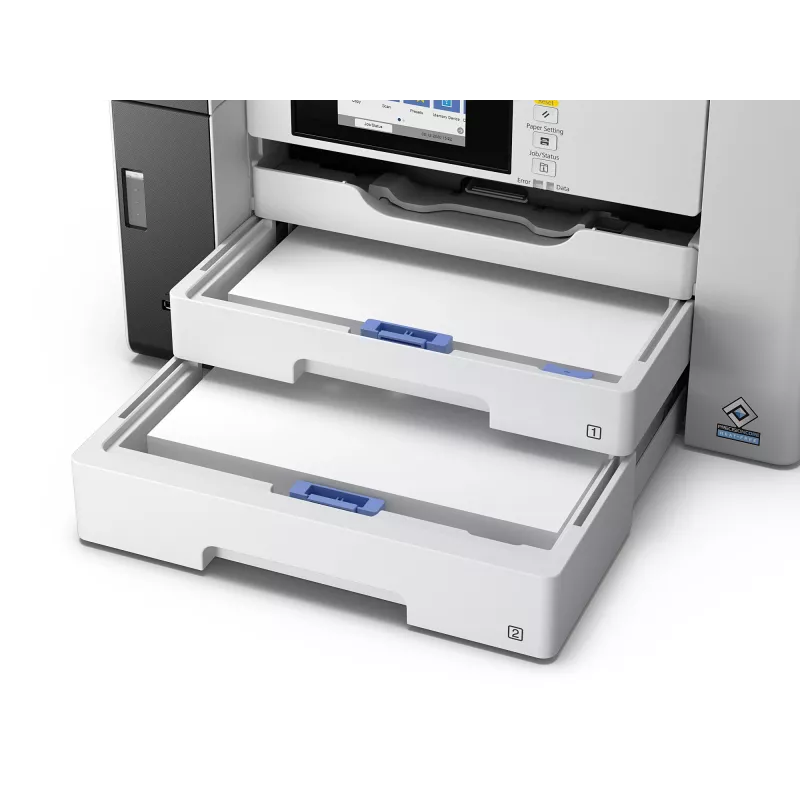 Equipo multifunción Epson M15180 — impresión de tinta monocroma, 4800x1200 DPI, escaneado en color 1200x1200, A4, Wi‑Fi, Ethernet, dúplex