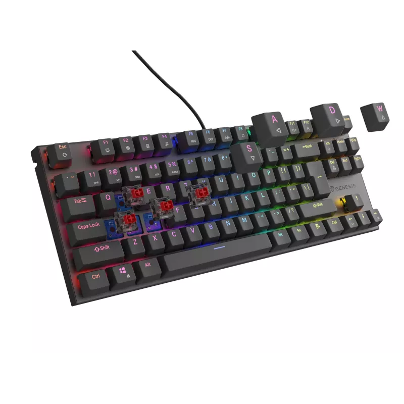 Teclado GENESIS Thor 303 TKL Gaming USB QWERTY negro RGB LED