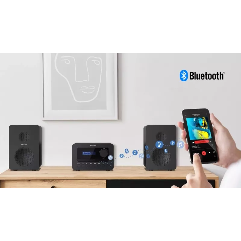 Sharp TOKYO DAB+ HI-FI Micro System Microssistema de audio doméstico 40 W Negro