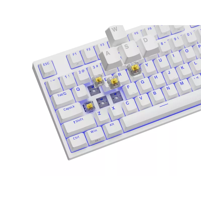 GENESIS Thor 404 TKL Teclado Gaming USB QWERTY US International Blanco