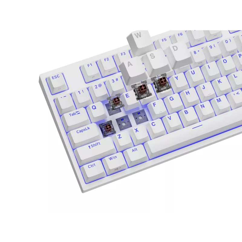 GENESIS Thor 404 TKL Teclado Gaming USB QWERTY US International Blanco