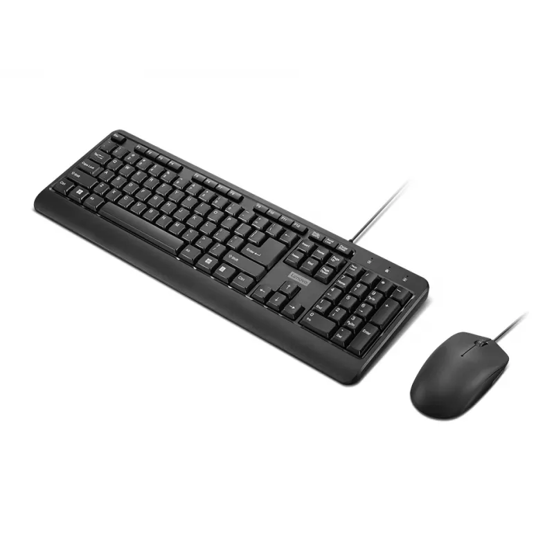 Lenovo 160 Teclado ratón incluido Home/Office USB US English negro