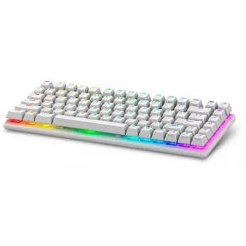 Alienware Pro Wireless Gaming Keyboard USB + RF Wireless + Bluetooth blanco