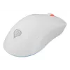 GENESIS Zircon XIII Ratón Gaming Ambidiestro RF Inalámbrico + USB Type-C Óptico 26000 DPI