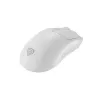 GENESIS Zircon 500 Ratón Gaming Diestro RF Inalámbrico + Bluetooth + USB Type-C Óptico 10000 DPI