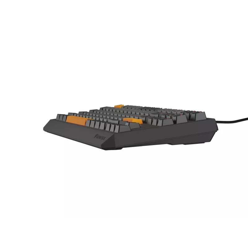 Genesis Thor 230 TKL teclado mecánico gaming con cable, US, Anchor Gray Negative, Outemu Red
