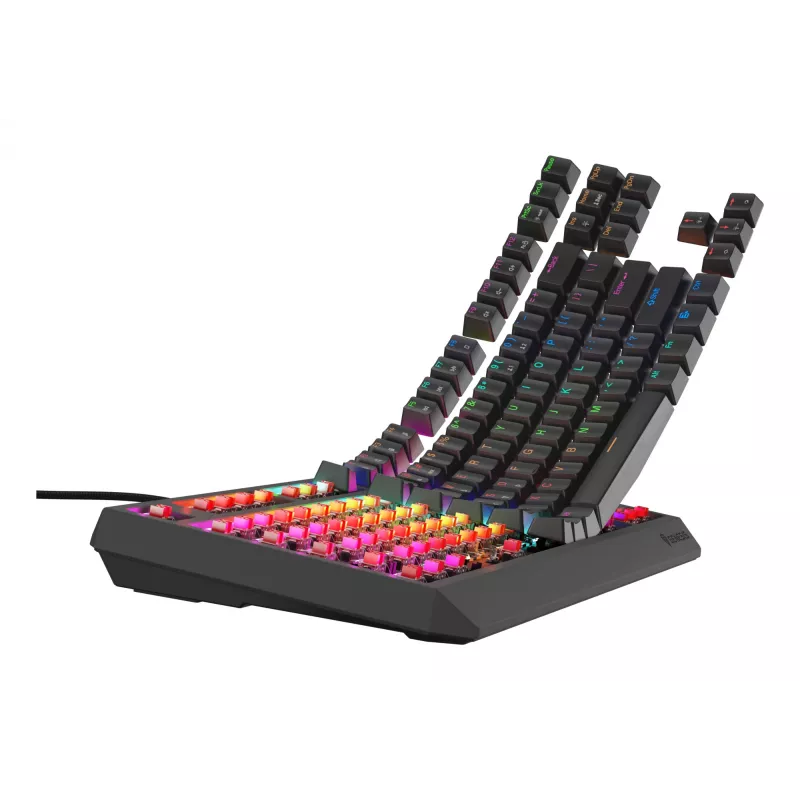 GENESIS Thor 230 TKL Lite Teclado Gaming USB QWERTY Inglés Negro