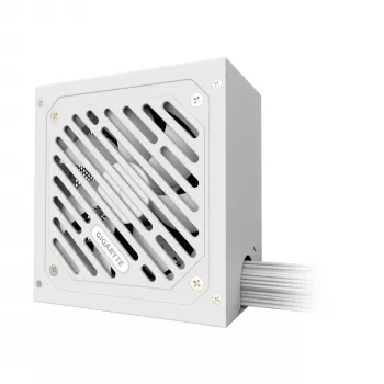 GIGABYTE P650SS ICE Fuente de alimentación - PCIe 5.0, 80 PLUS Silver, ventilador de 120mm, compatible con ATX 3.0, conector EU