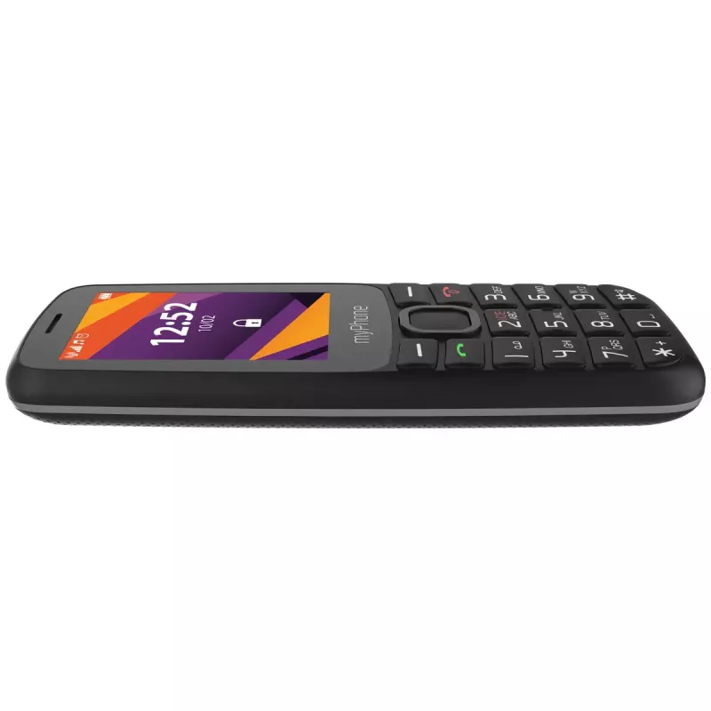 Teléfono móvil MYPHONE 6410 LTE | 2,4 pulgadas TFT | Negro