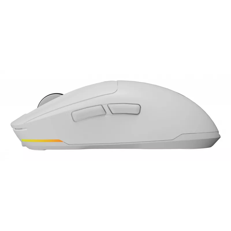 Ratón gaming GENESIS NMG-2194 Ambidiestro Bluetooth + USB Type-C Óptico 26000 DPI