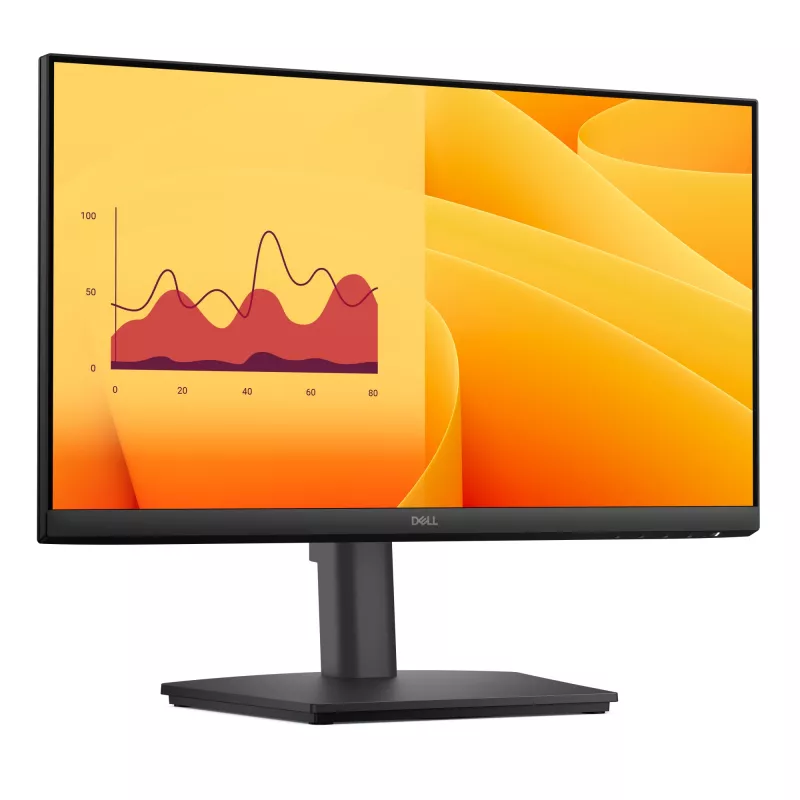 Monitor de ordenador DELL E Series E2225HSM 54,6 cm (21,5