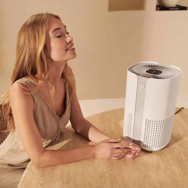Purificador de aire Duux Smart Air Purifier Bright 2 — 22 W, para estancias de hasta 42 m²