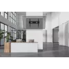Soporte de pared para TV de alta carga Neomounts 125 kg 43-98