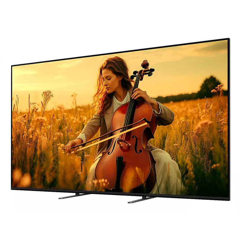 Sony K-55XR5 139,7 cm (55 inch) 4K Ultra HD Smart TV Wi-Fi Negro