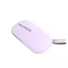 ASUS Marshmallow MD100 Ratón Oficina Ambidiestro RF Wireless + Bluetooth Óptico 1600 DPI