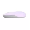 ASUS Marshmallow MD100 Ratón Oficina Ambidiestro RF Wireless + Bluetooth Óptico 1600 DPI
