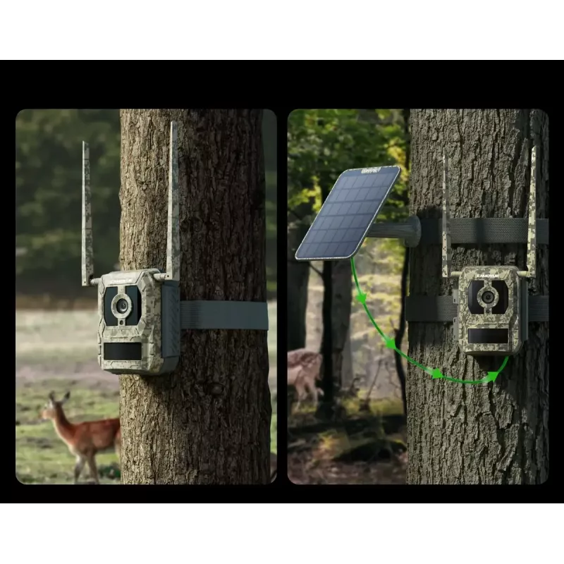 Cámara de caza Reolink Camovue Talon S130 4G LTE, 8 MP, 3840×2160, 95° H × 50,2° V, IP67, recargable por USB‑C, para exteriores