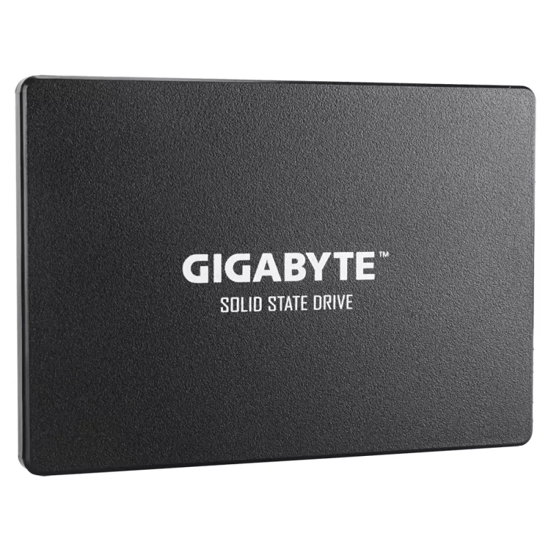 Unidad de estado sólido interna GIGABYTE GP-GSTFS31256GTND 256 GB 2,5