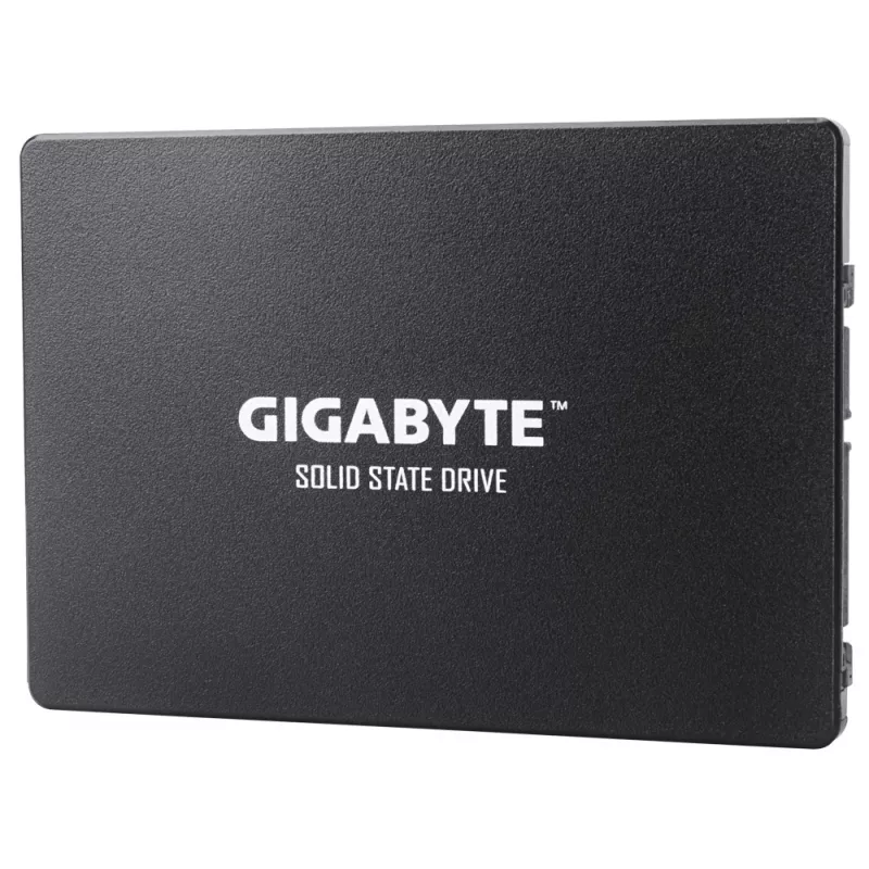 Unidad de estado sólido interna GIGABYTE GP-GSTFS31256GTND 256 GB 2,5
