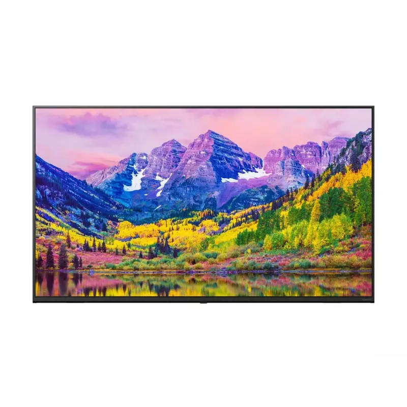LG NanoCell Smart TV 43
