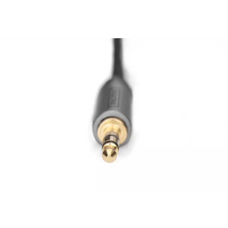 Cable adaptador de audio Digitus DB-510330-010-S 3,5 mm a RCA 1 m negro