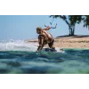 Auriculares Shokz OpenSwim Pro — auriculares inalámbricos de conducción ósea open-ear, IP68 resistentes al agua, Bluetooth 5.4, 32 GB, 9 h de reproducción, gris