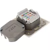Toma de pared InLine Cat.6 2x RJ45 horizontal — Montaje en superficie o empotrado
