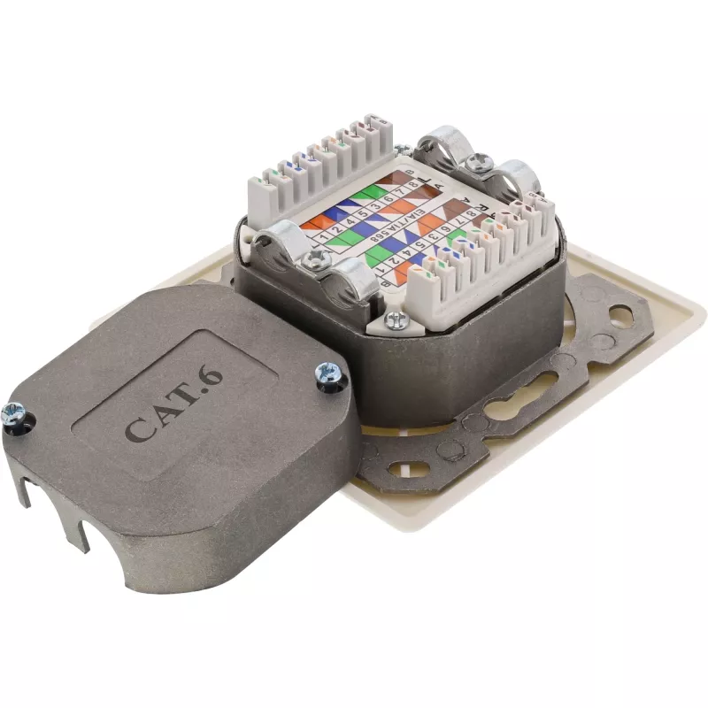 Toma de pared InLine Cat.6 2x RJ45 horizontal — Montaje en superficie o empotrado
