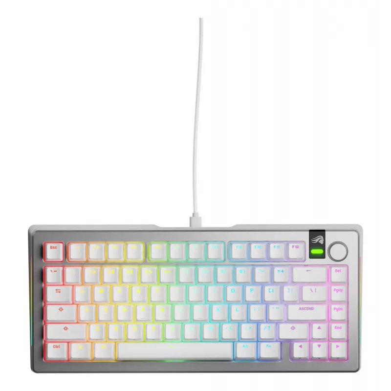 Glorious GMMK 3 Pro 75% teclado gaming personalizable, premontado, con cable, switches Fox, ANSI (US), plateado