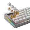 Glorious Gaming Glorious Panda HE Switches - 36 uds., interruptores de teclado, policarbonato (PC), translúcido, amarillo