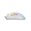 Ratón Glorious Gaming Glorious Model D 2 Wireless - blanco mate, diestro, RF Wireless, 19000 DPI, blanco