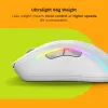Ratón Glorious Gaming Glorious Model D 2 Wireless - blanco mate, diestro, RF Wireless, 19000 DPI, blanco
