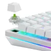 Interruptores mecánicos Glorious Raptor Clicky – 36 unidades